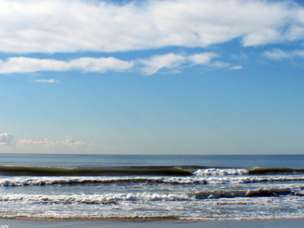 Обои картинки фото 