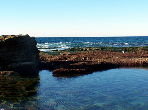 Обои картинки фото 