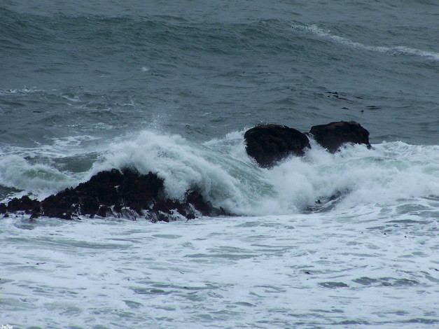 Обои картинки фото 