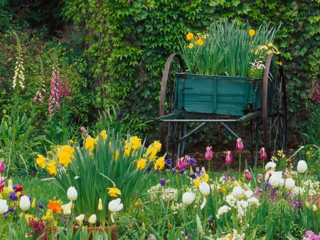 Обои картинки фото цветы, разные, вместе