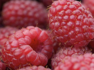 Картинка еда малина