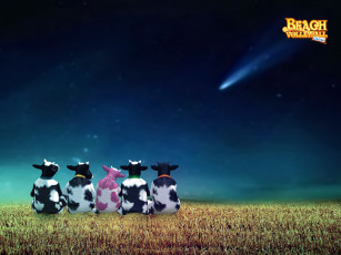 Картинка beach volleyball online видео игры