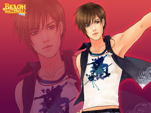 Картинка beach volleyball online видео игры