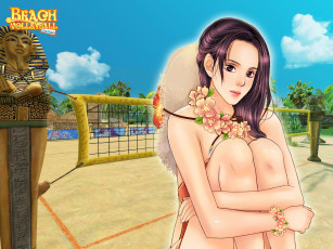 Картинка beach volleyball online видео игры