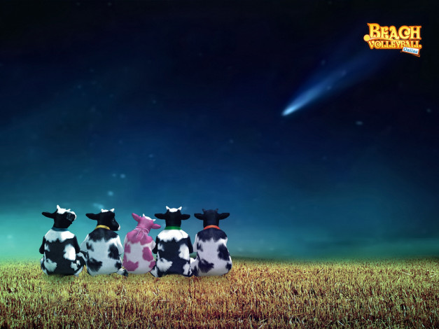 Обои картинки фото beach, volleyball, online, видео, игры