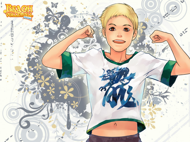 Обои картинки фото beach, volleyball, online, видео, игры