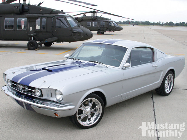 Обои картинки фото автомобили, mustang