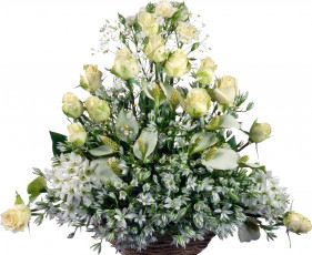 Картинка цветы букеты композиции белые