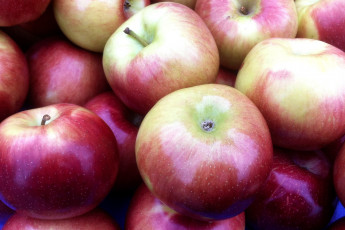 Картинка еда Яблоки плоды