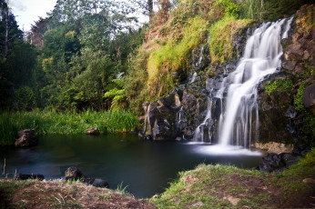 Картинка природа водопады вода деревья