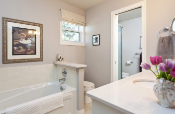 Картинка интерьер ванная туалетная комнаты цветы умывальник ванна картина