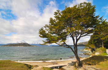 Картинка аргентина огненная земля природа побережье море