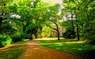 Картинка природа дороги деревья дорога