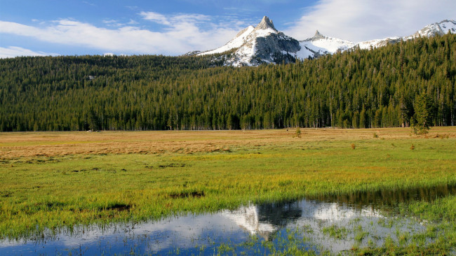 Обои картинки фото природа, пейзажи, луг, лес, горы, вода