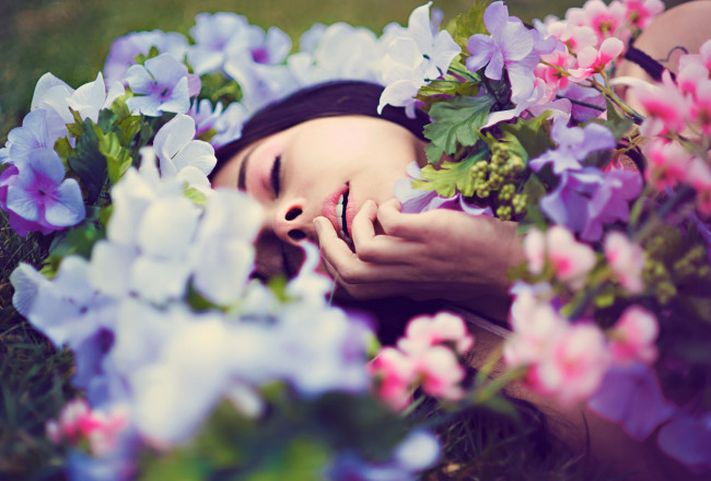 Обои картинки фото Rachel Dashae, девушки, цветы