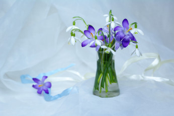 Картинка цветы разные+вместе подснежники крокусы