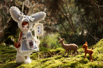 Картинка разное игрушки кукла