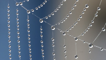 Картинка разное капли +брызги +всплески паутина