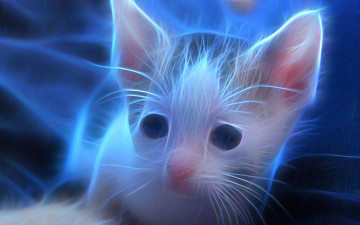 Картинка разное компьютерный+дизайн взгляд кот фон