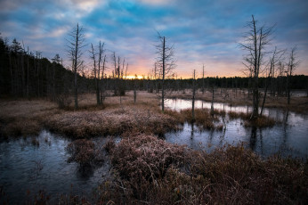 Картинка природа реки озера лес река