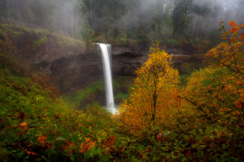 Картинка природа водопады река водопад лес