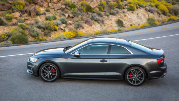 Картинка audi+s5+coupe+2018 автомобили audi 2018 coupe s5