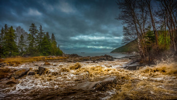 Картинка природа побережье берег море