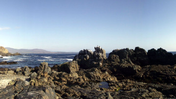 Картинка природа побережье скалы