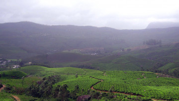 Картинка природа поля панорама