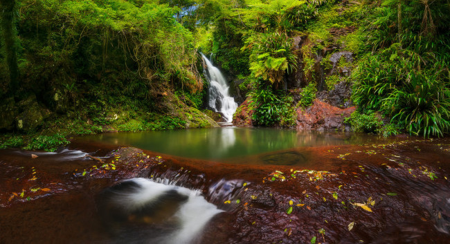 Обои картинки фото природа, водопады, лес, водопад, река