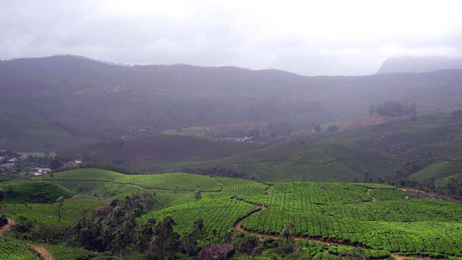 Обои картинки фото природа, поля, панорама