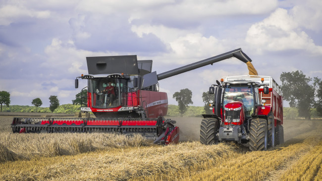 Обои картинки фото техника, комбайны, комбаин