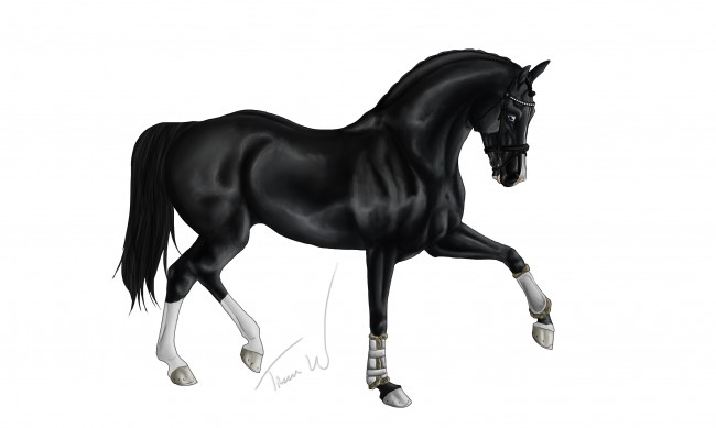 Обои картинки фото рисованное, животные,  лошади, лошадь