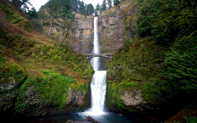 Обои картинки фото природа, водопады, мостик, вода, поток