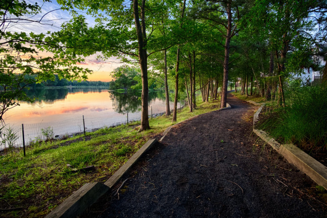 Обои картинки фото природа, дороги, река, лес