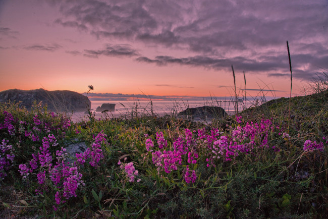 Обои картинки фото природа, побережье, берег, море