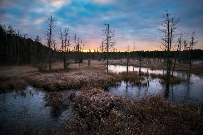 Обои картинки фото природа, реки, озера, лес, река