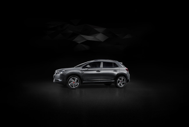 Обои картинки фото автомобили, citroen, ds