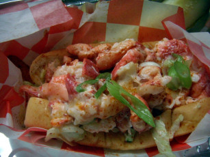 Картинка еда рыбные+блюда +с+морепродуктами лобстер