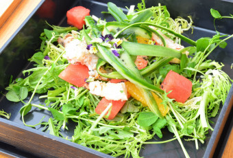 Картинка еда салаты +закуски салат