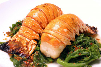 Картинка еда рыбные+блюда +с+морепродуктами лобстер