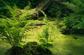 Картинка природа реки озера простор