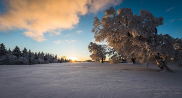 Картинка природа зима простор