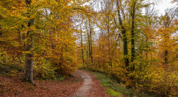 Картинка природа дороги простор