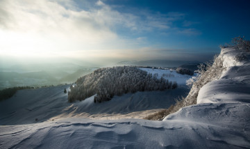 Картинка природа зима утро холод