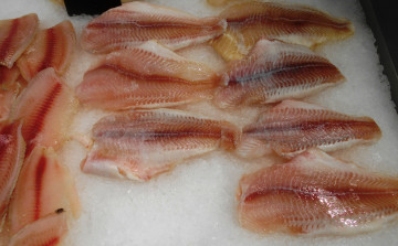 Картинка еда рыба +морепродукты +суши +роллы