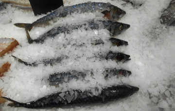 Картинка еда рыба +морепродукты +суши +роллы