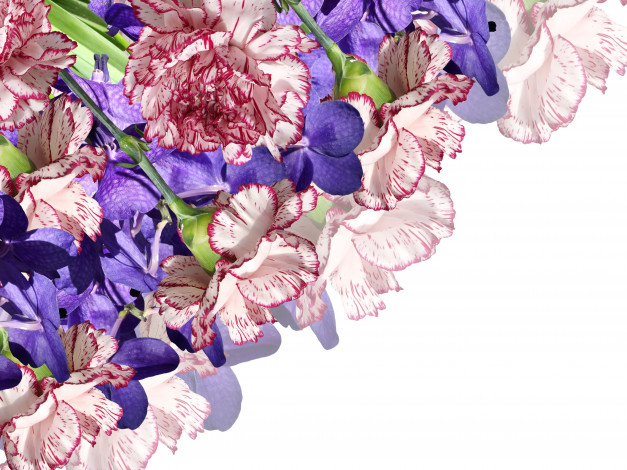 Обои картинки фото цветы, разные вместе, гвоздики, орхидеи, букет