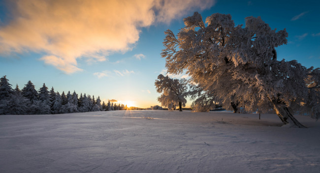 Обои картинки фото природа, зима, простор