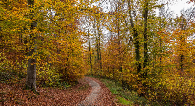 Обои картинки фото природа, дороги, простор